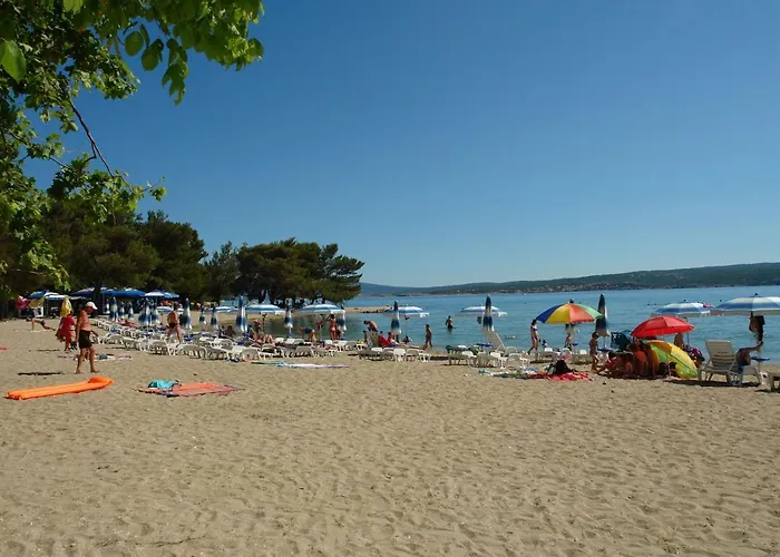 Davorka Crikvenica